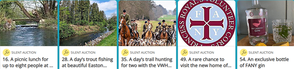 FANY (PRVC) announces Silent Auction partnership with the Royal Gloucestershire Hussars Charitable Trust